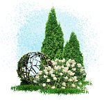 Декоративный оазис с девичьим виноградом